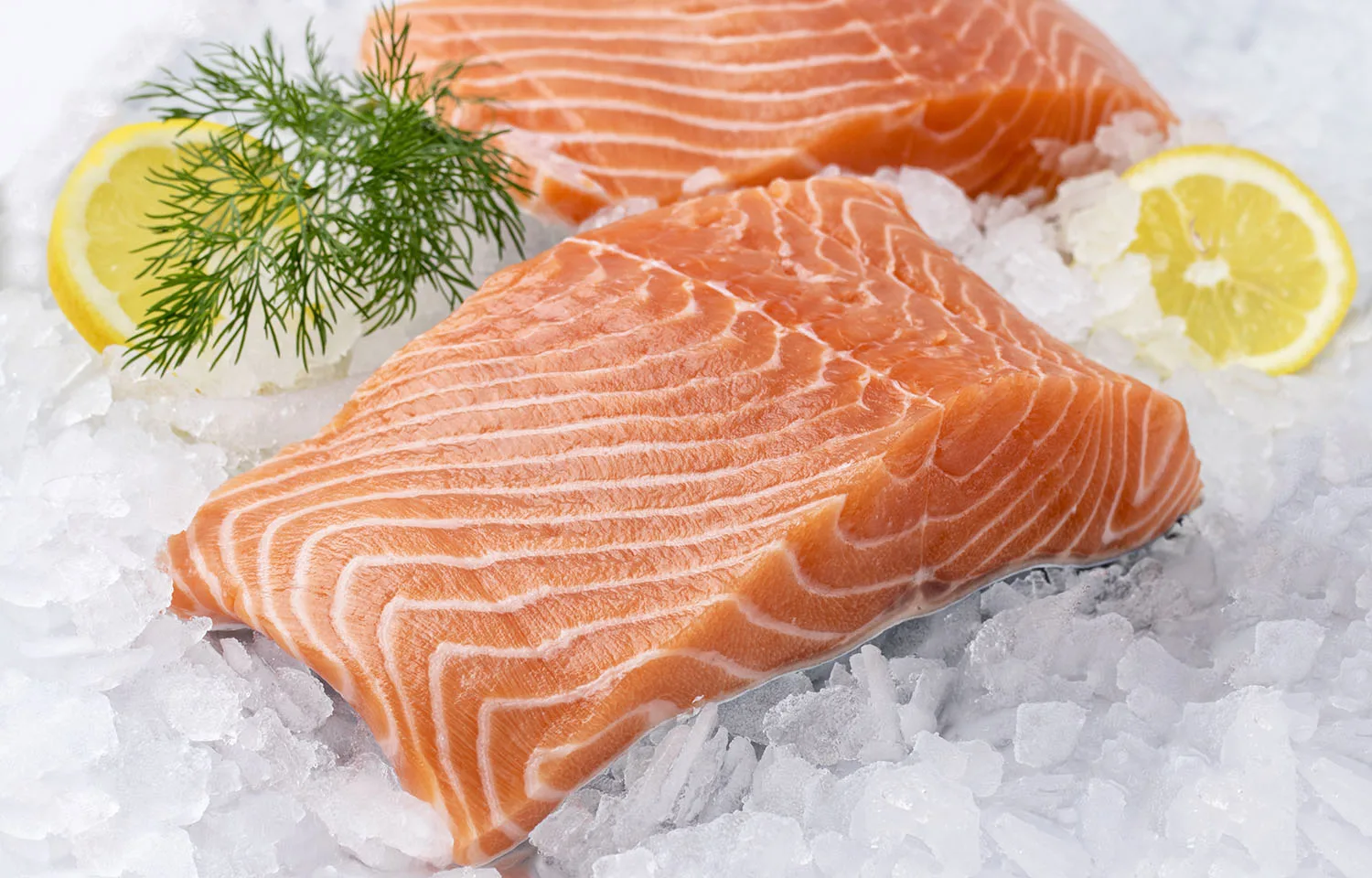 Fish Farm Temperature Control Hire from Rapid Chillers 9